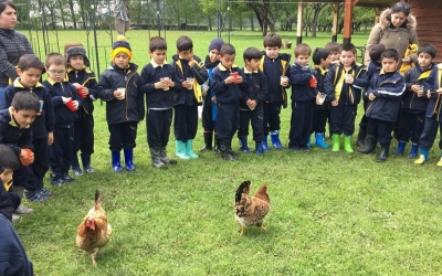 Kinder A y B visitan Granja Educativa en Antilhue