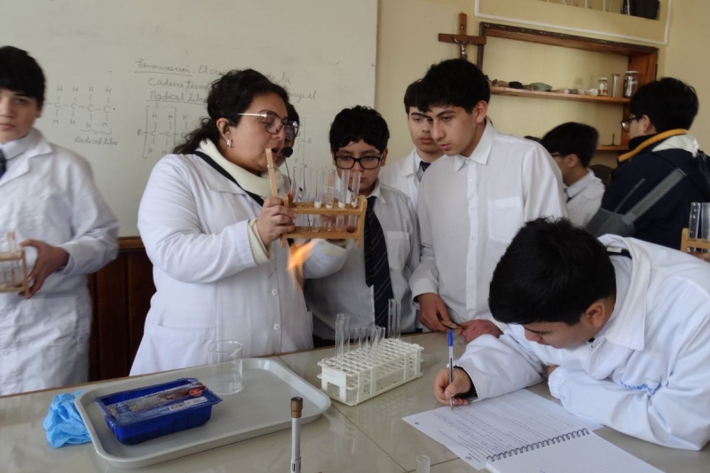 Biología 8° básico A realiza actividad experimental de Biología sobre las Enzimas