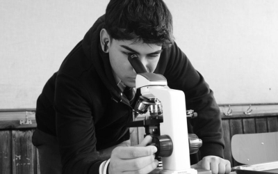 Microscopio revela los organelos responsables del proceso de la fotosíntesis a estudiantes de Biología de los Ecosistemas