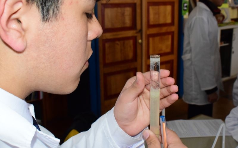 Electivo Química: estudiantes logran extraer ADN de vegetales