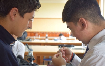 Electivos Química y Biología continúan potenciando habilidades en lab