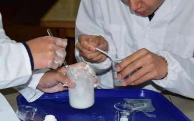 “Del juego al laboratorio”. Estudiantes replican popular juego