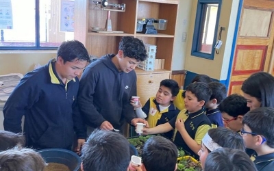 Exposición de plantas en el Laboratorio del ISV