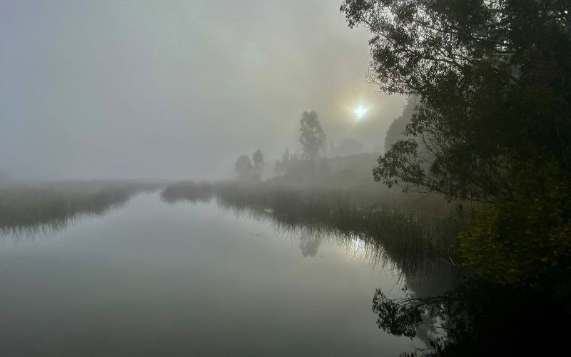 Prof. José Almonacid gana 1° lugar en Concurso Nacional de Fotografía de Humedales